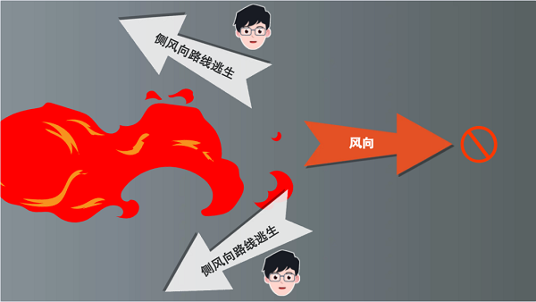 【動畫】森林草原防火“十不準(zhǔn)”“五不燒”！這些安全知識要牢記